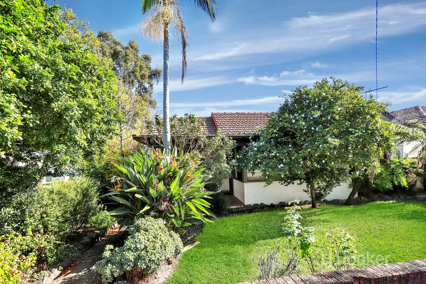 Main view of Homely house listing, 172 Blaxcell Street, Granville NSW 2142