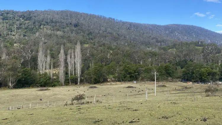 Third view of Homely rural property listing, 81 Brittens Road, Tantawangalo NSW 2550