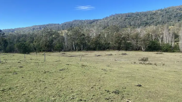 Fourth view of Homely rural property listing, 81 Brittens Road, Tantawangalo NSW 2550