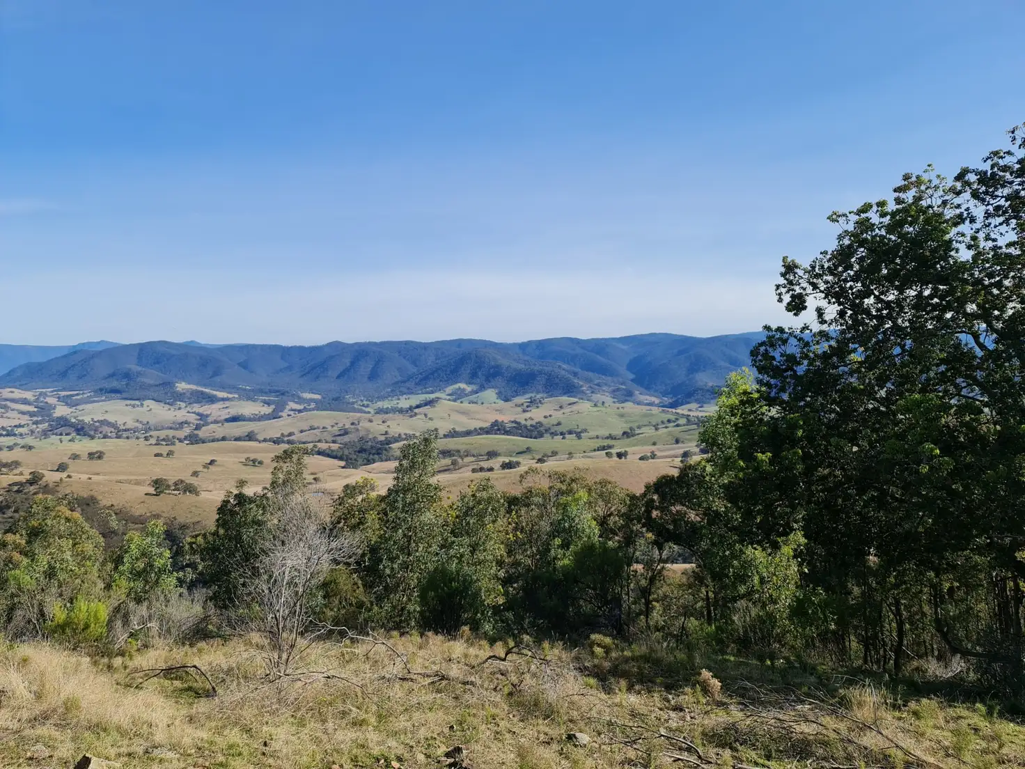 Main view of Homely rural property listing, 497B Omeo Road, Dargo VIC 3862