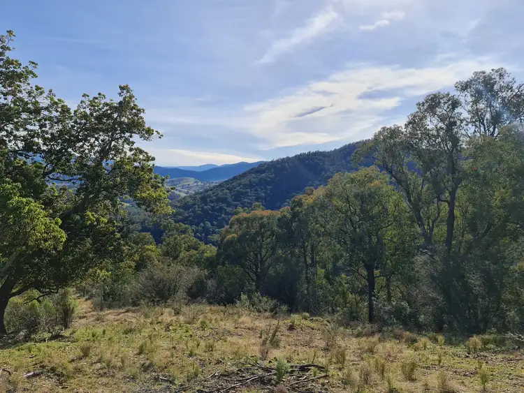 Third view of Homely rural property listing, 497B Omeo Road, Dargo VIC 3862
