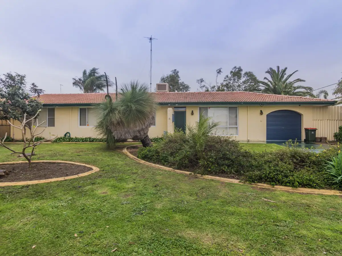 Main view of Homely house listing, 14 Scroop Way, Spearwood WA 6163