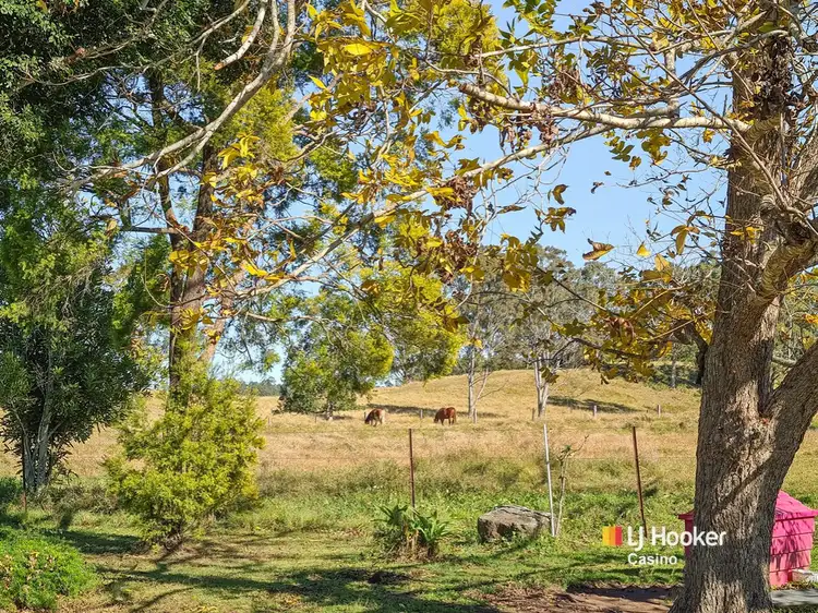 Fourth view of Homely rural property listing, 13151 Clarence Way, Bottle Creek NSW 2469