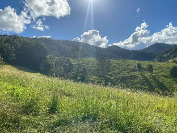 Fifth view of Homely rural property listing, Lot 21/1843 Comboyne Road, Killabakh NSW 2429