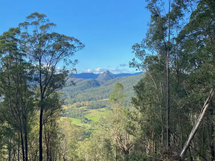 Sixth view of Homely rural property listing, Lot 21/1843 Comboyne Road, Killabakh NSW 2429