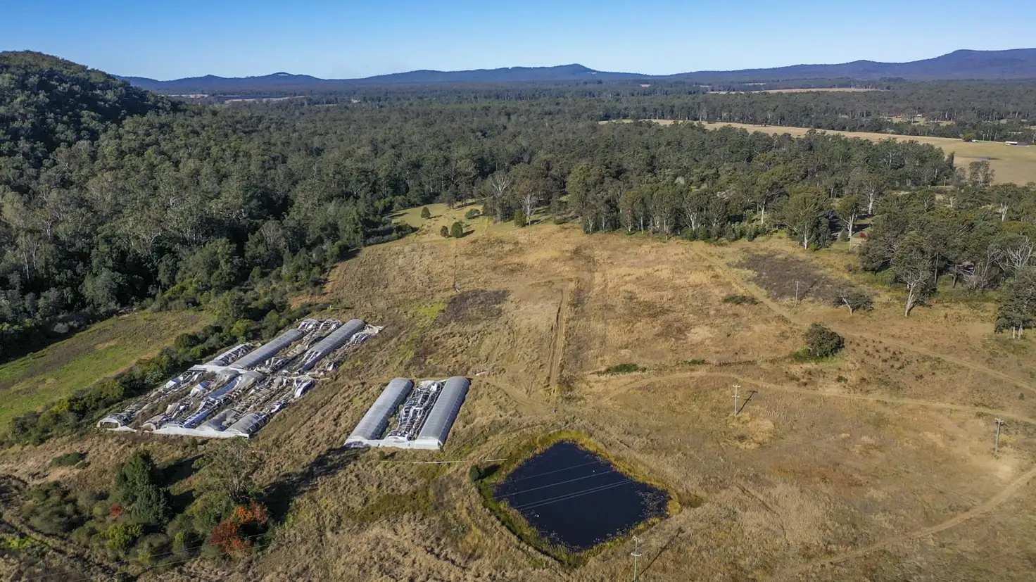 Main view of Homely rural property listing, 3610 Orara Way, Kremnos NSW 2460