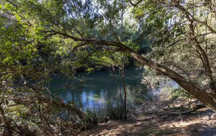 Fourth view of Homely rural property listing, 3610 Orara Way, Kremnos NSW 2460