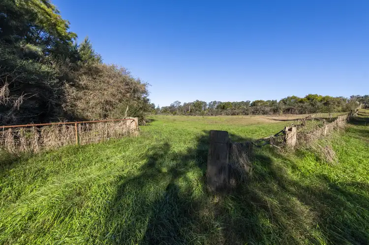 Sixth view of Homely rural property listing, 3610 Orara Way, Kremnos NSW 2460