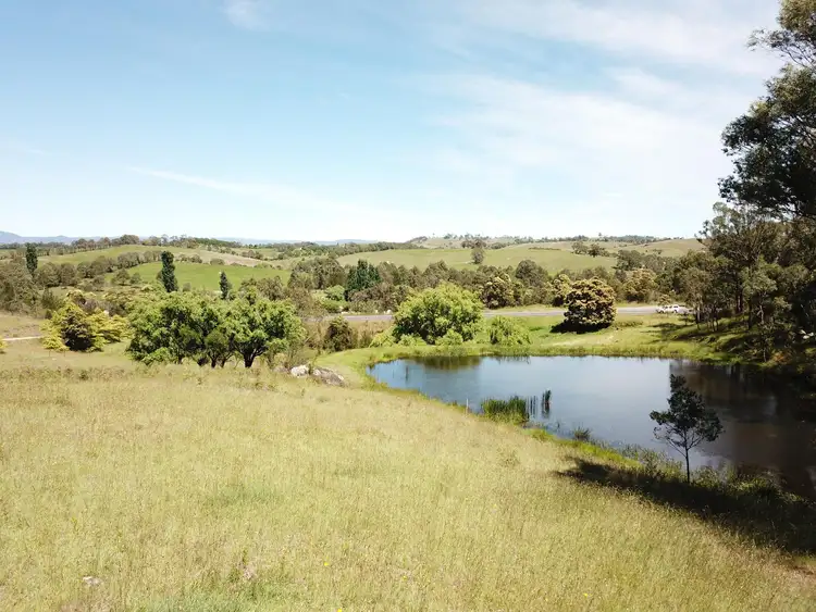 Second view of Homely rural property listing, 681 Princes Highway, Bega NSW 2550
