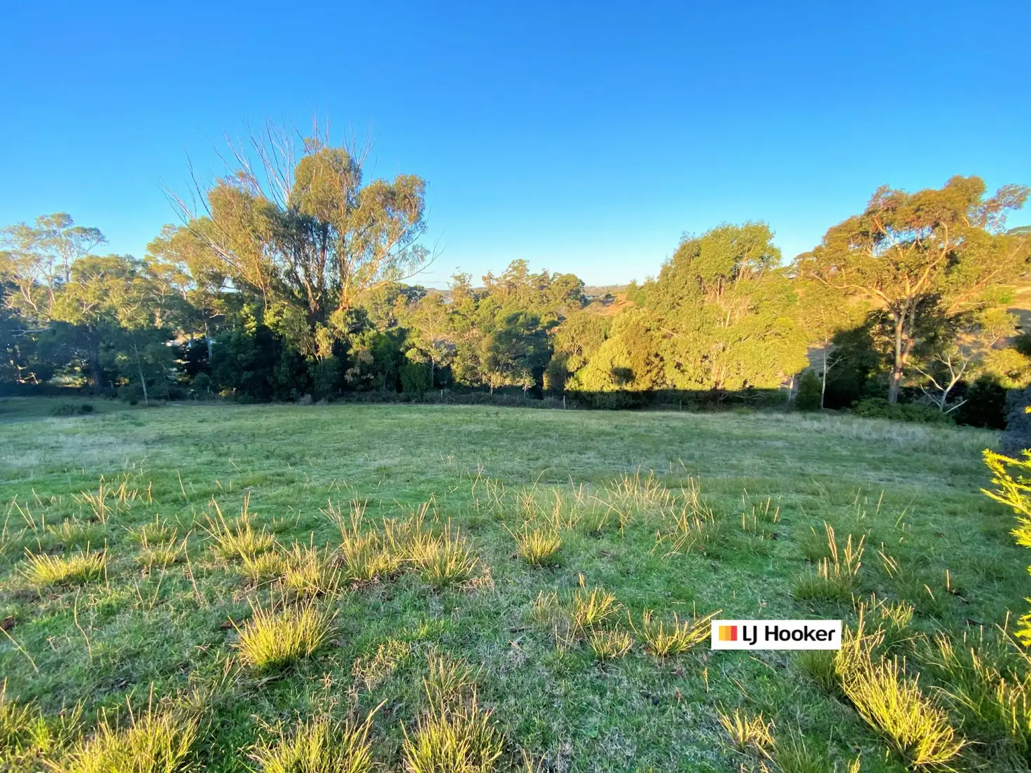 Main view of Homely land listing, 17 Bayvista Rise, St Helens TAS 7216