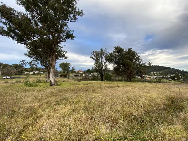 Third view of Homely land listing, Lots 1, 2 Princes Highway, Cobargo NSW 2550