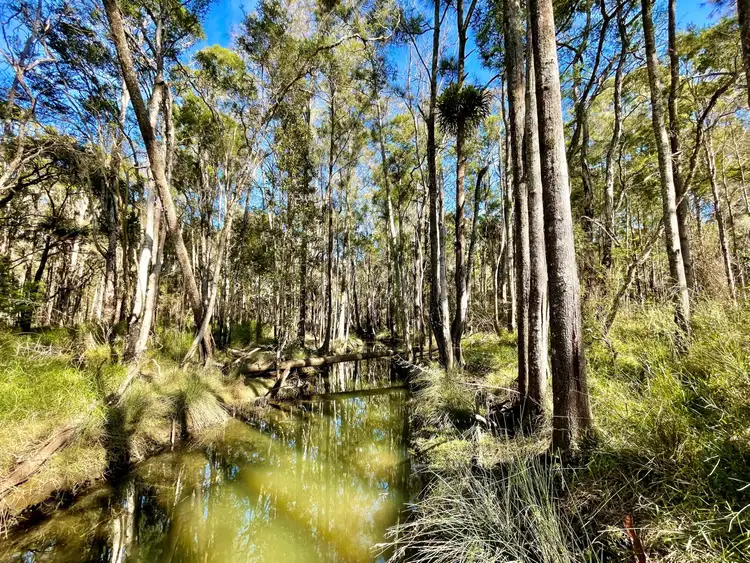 Third view of Homely rural property listing, 10 Redbank Road, Pampoolah NSW 2430