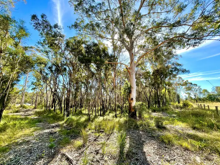 Fourth view of Homely rural property listing, 10 Redbank Road, Pampoolah NSW 2430