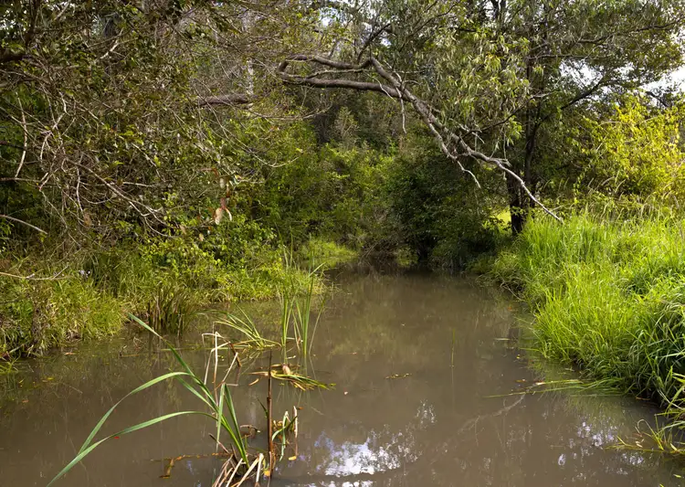 Fourth view of Homely rural property listing, 396 Nowendoc Road, Killawarra NSW 2429