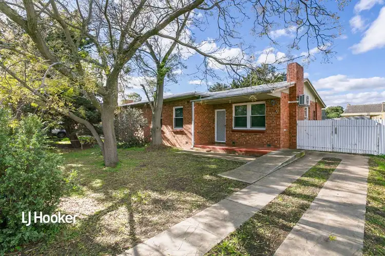 41 Wilkins Road, Elizabeth Downs SA 5113