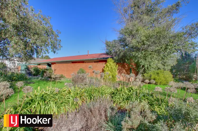 Second view of Homely house listing, 36 Loureiro Street, Conder ACT 2906