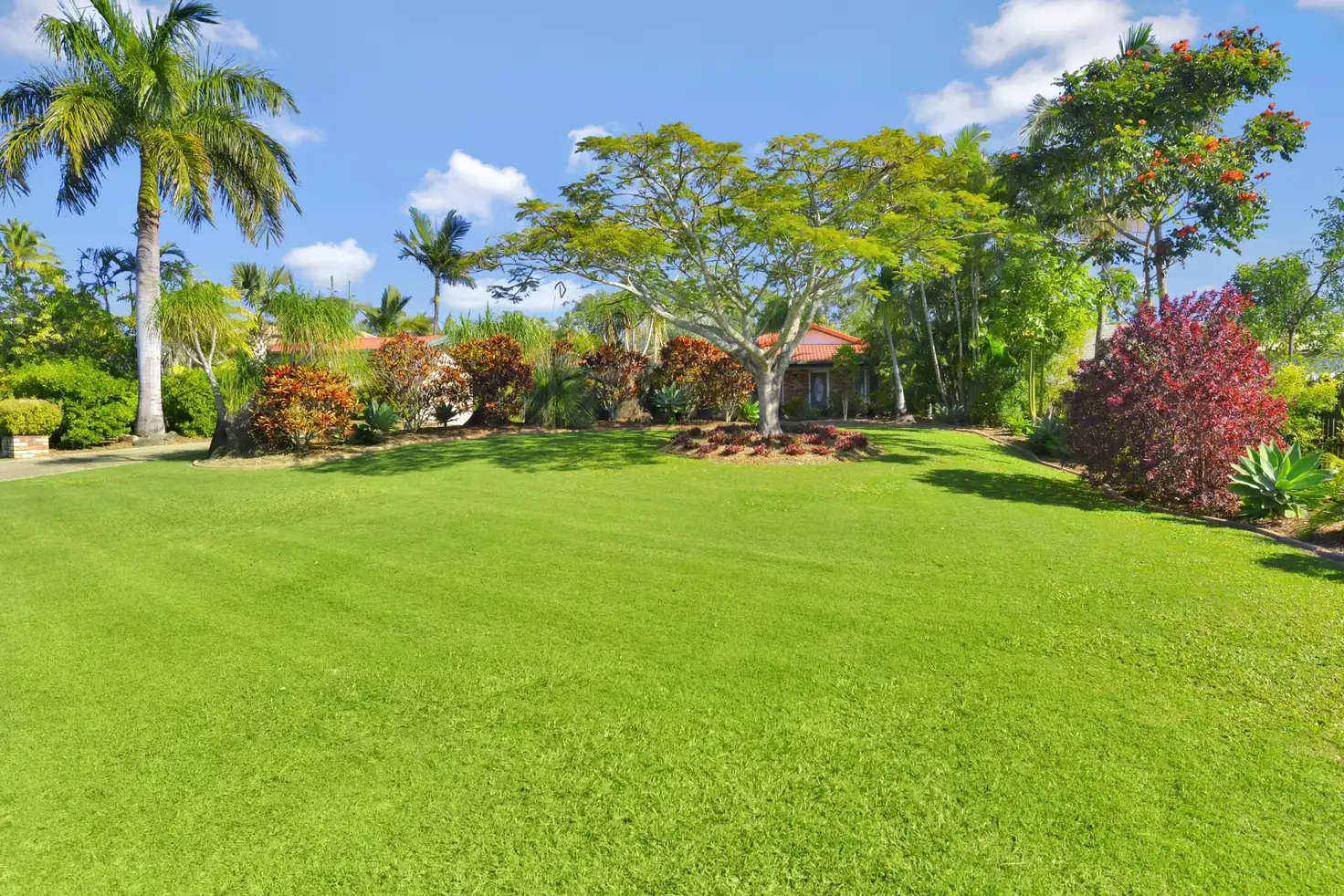Main view of Homely house listing, 80 Podinga Circuit, Ormeau QLD 4208