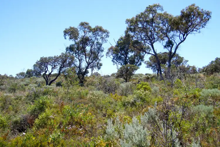 Second view of Homely land listing, Lot 59/ Marjoram Vista, Two Rocks WA 6037