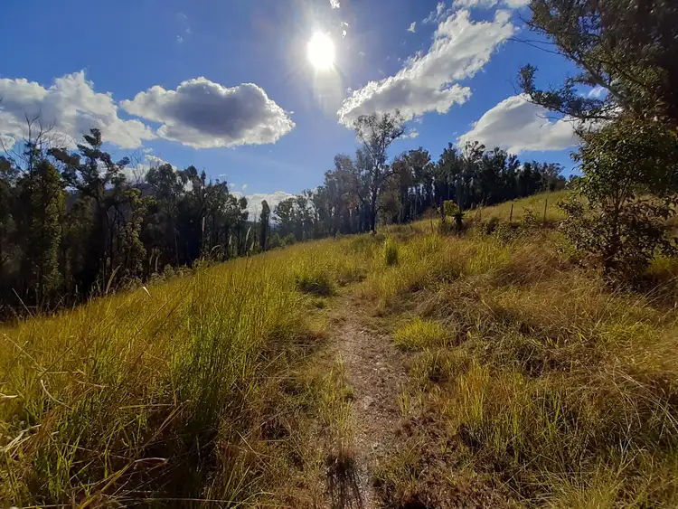 Seventh view of Homely land listing, 385 Williams Hill Road, Yarranbella NSW 2447