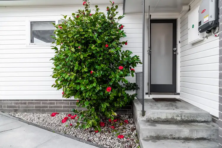 Second view of Homely house listing, 8 Anthony Place, Glenorchy TAS 7010