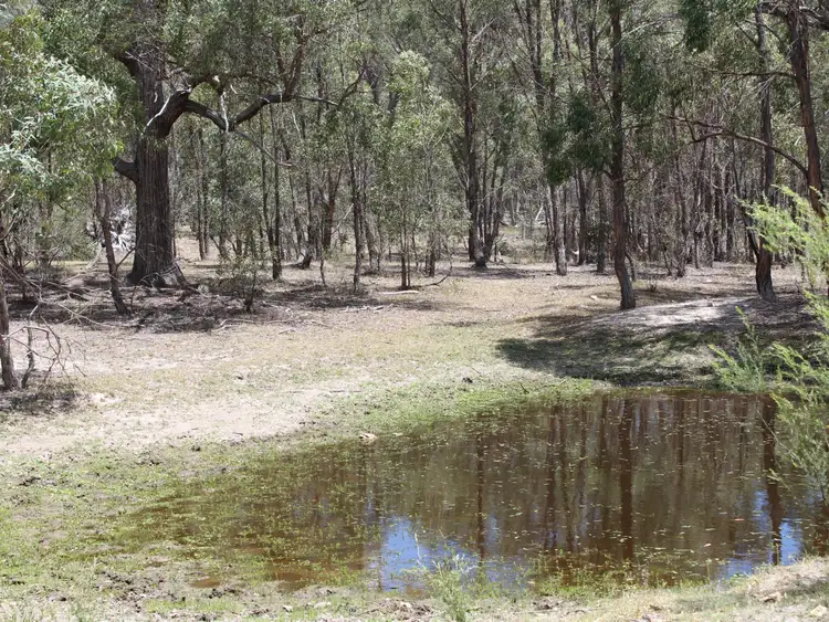 Second view of Homely rural property listing, 464 Wellingrove Road, Wellingrove NSW 2370