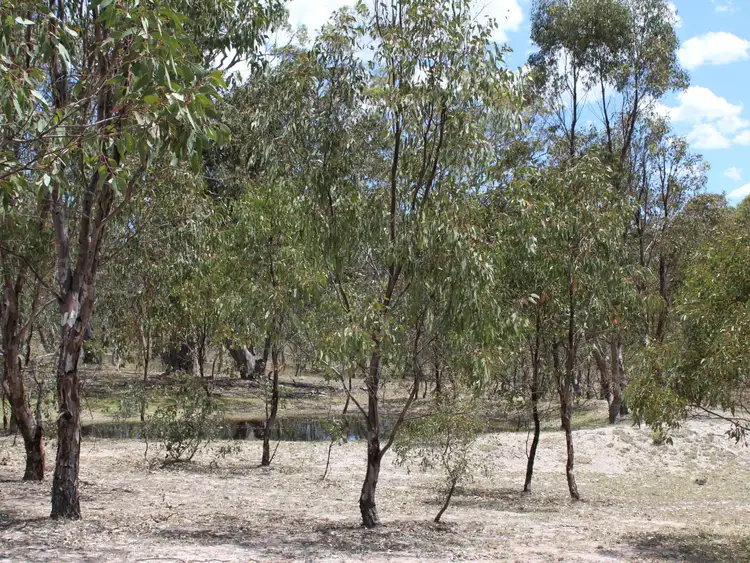 Third view of Homely rural property listing, 464 Wellingrove Road, Wellingrove NSW 2370