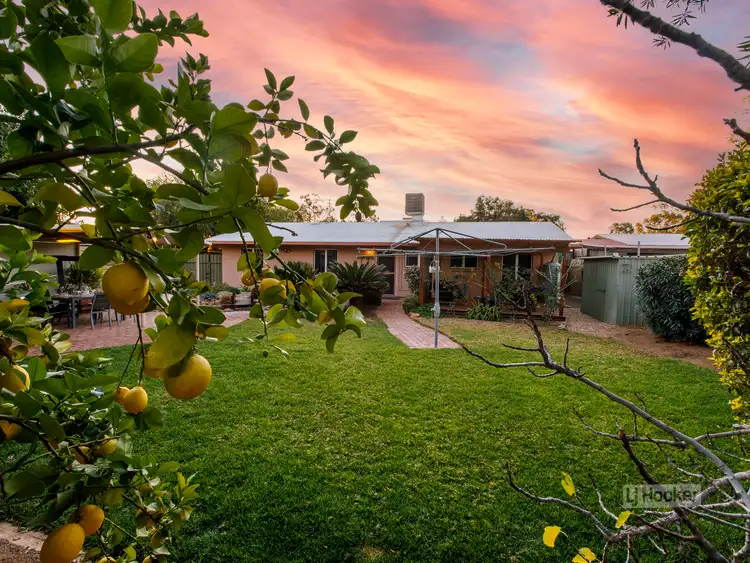 Main view of Homely house listing, 61 Plumbago Crescent, Sadadeen NT 870
