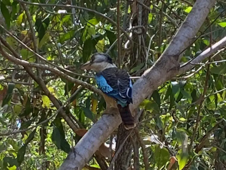 Sixth view of Homely land listing, 47 Cox Drive, Wagait Beach NT 822