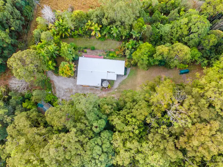 Second view of Homely house listing, 1383 Currumbin Creek Road, Currumbin Valley QLD 4223