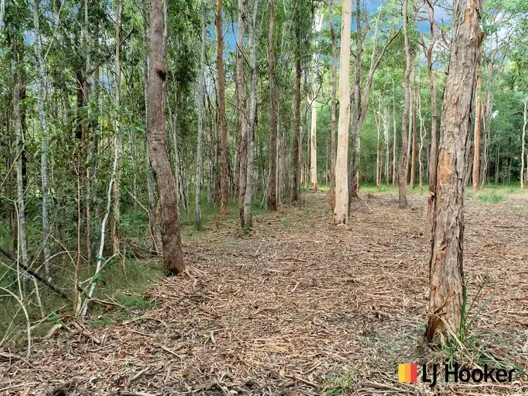 Fifth view of Homely house listing, Lot 3 Gardiners Road, James Creek NSW 2463