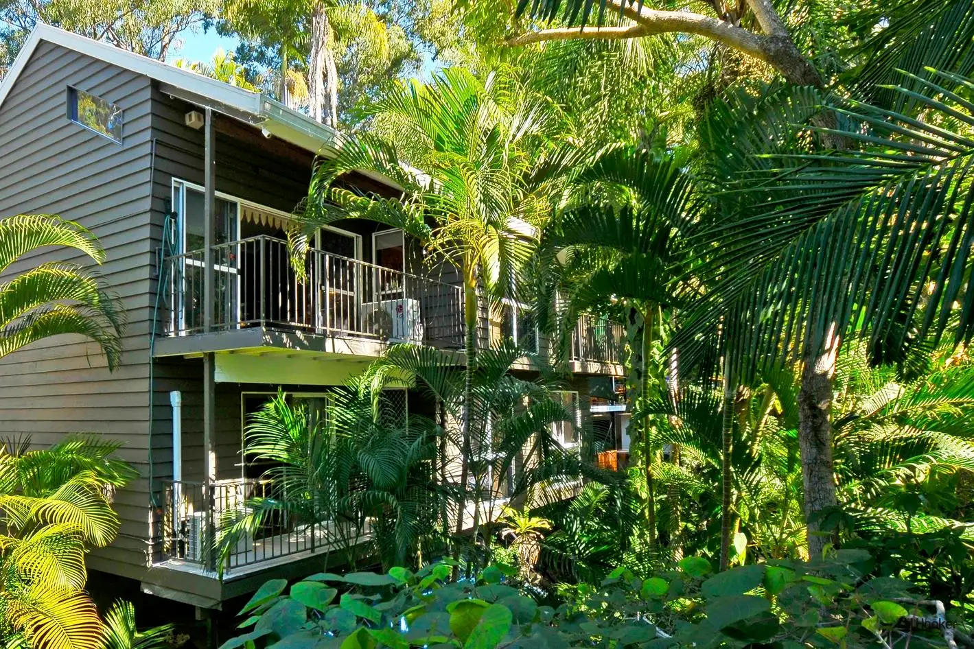 Main view of Homely house listing, 25 Domain Road, Currumbin QLD 4223