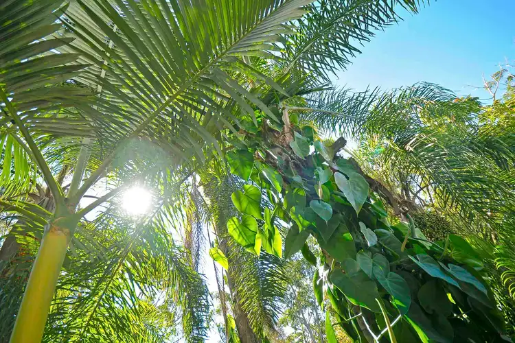 Second view of Homely house listing, 25 Domain Road, Currumbin QLD 4223