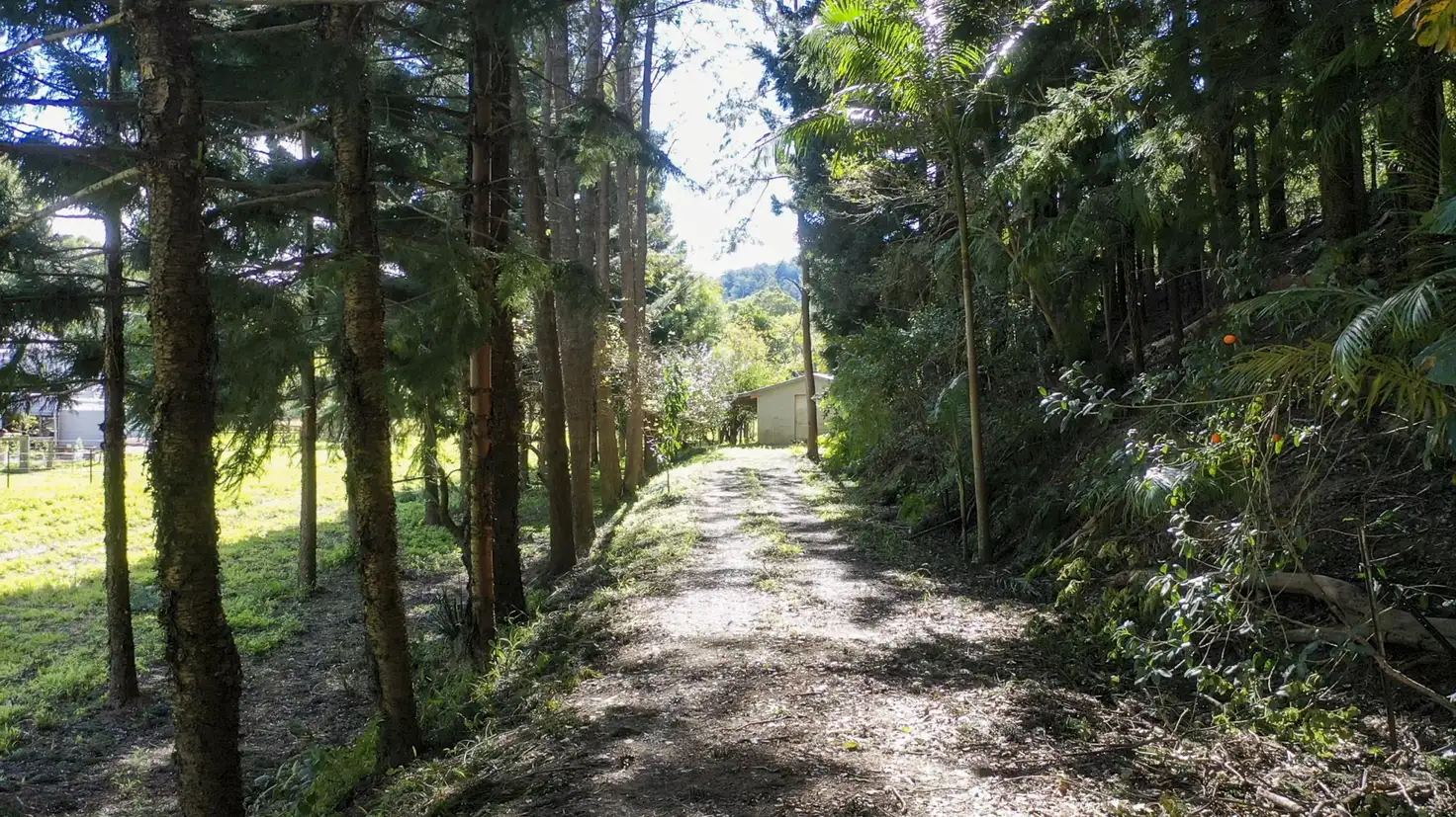 Main view of Homely land listing, 364 Dairyville Road, Upper Orara NSW 2450