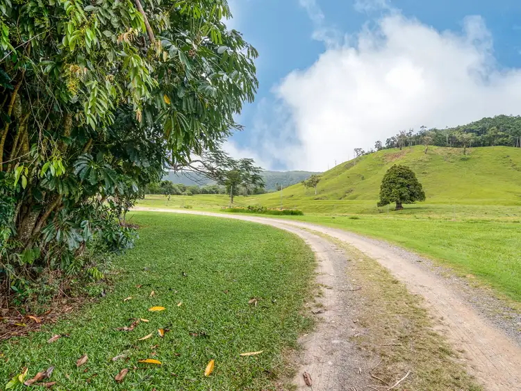 Fourth view of Homely land listing, 15-17 Daly Street, Daintree QLD 4873