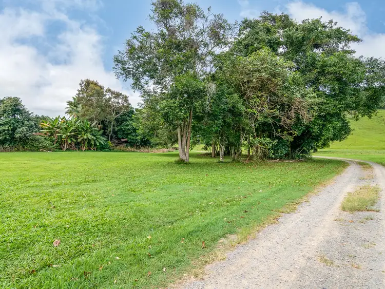 Sixth view of Homely land listing, 15-17 Daly Street, Daintree QLD 4873