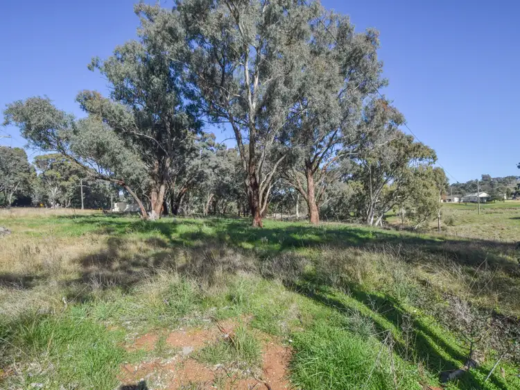 Fifth view of Homely land listing, 4501 Olympic Highway South, Young NSW 2594