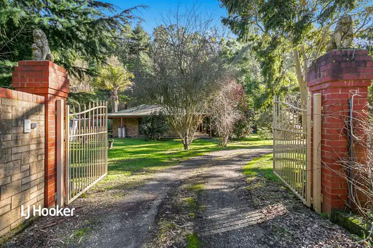Main view of Homely house listing, 292 Hollands Creek Road, Cudlee Creek SA 5232