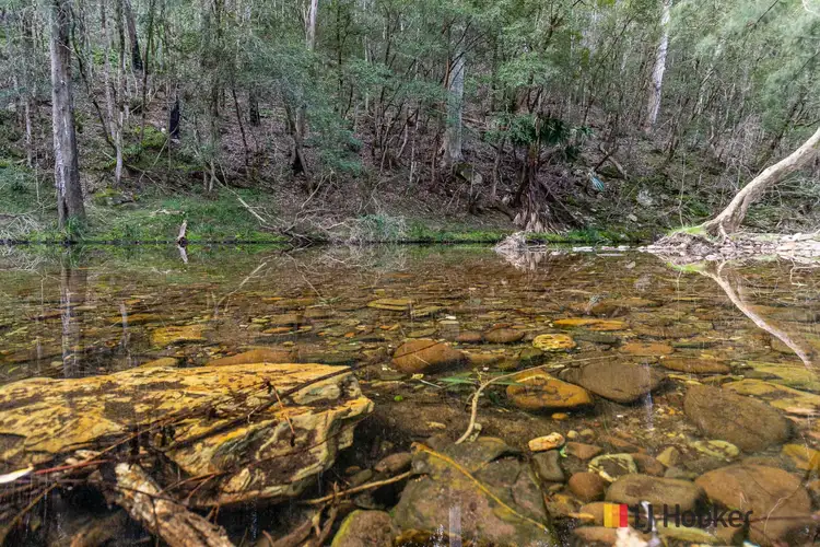 Fifth view of Homely rural property listing, 20 Western Distributor Road, Currowan NSW 2536