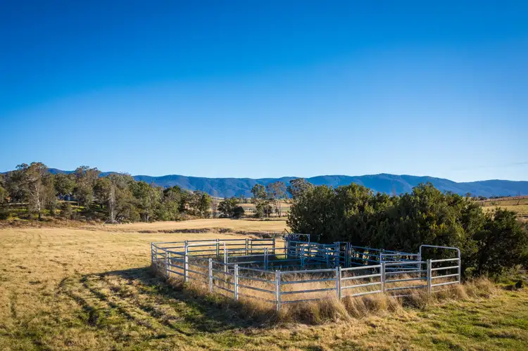 Fourth view of Homely rural property listing, 10-16 Nimmitabel Street, Bemboka NSW 2550