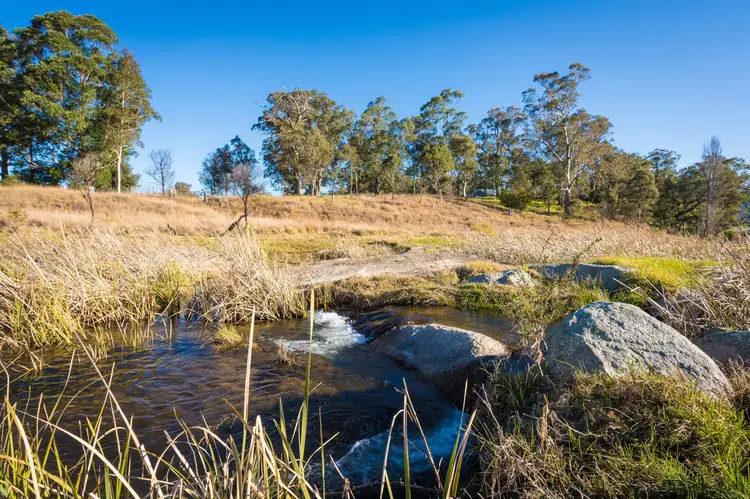 Fifth view of Homely rural property listing, 10-16 Nimmitabel Street, Bemboka NSW 2550