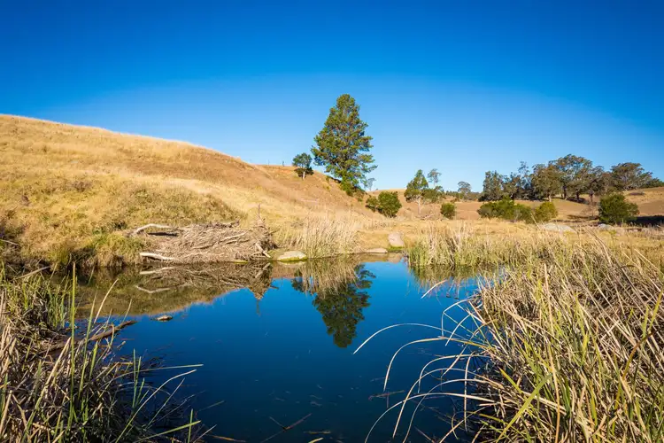 Sixth view of Homely rural property listing, 10-16 Nimmitabel Street, Bemboka NSW 2550