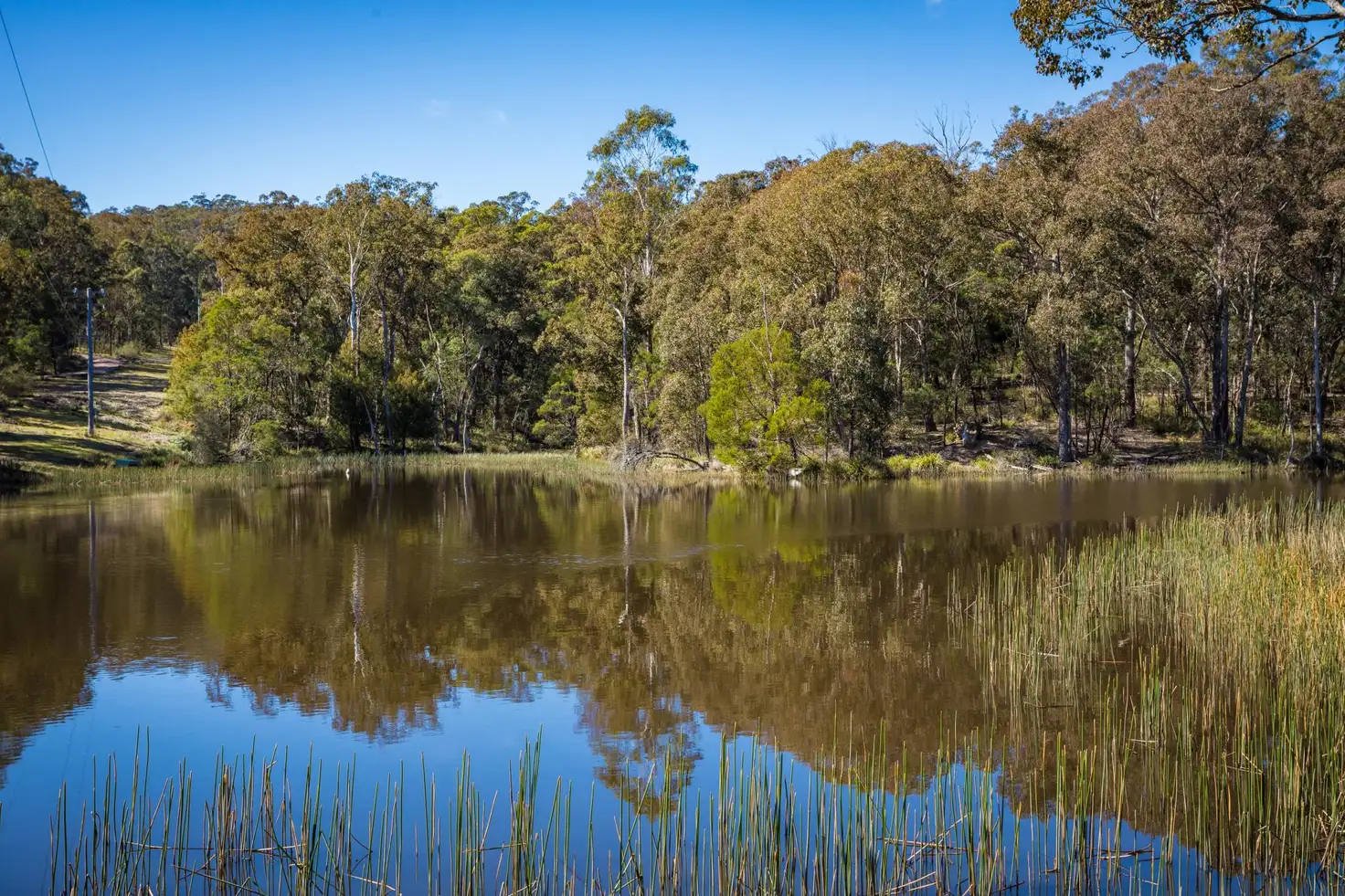 Main view of Homely rural property listing, 824 Burragate Rd, Wyndham NSW 2550