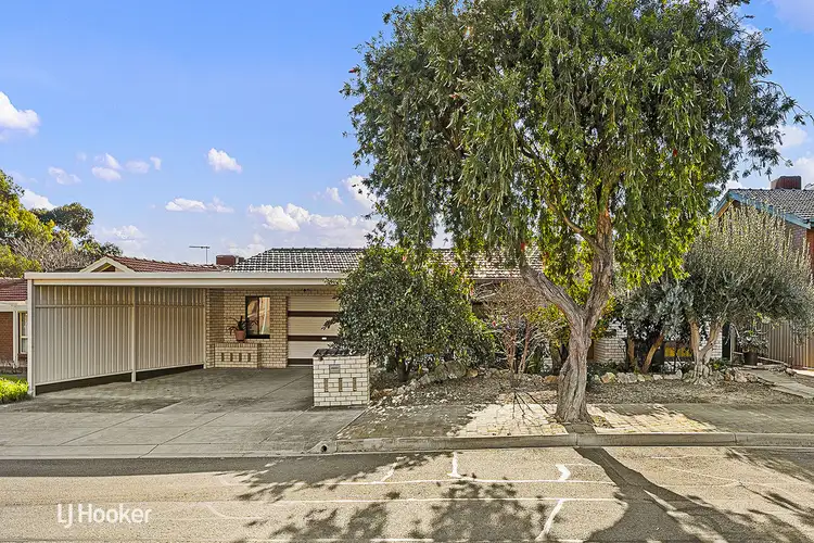 7 Nestor Street, Athelstone SA 5076
