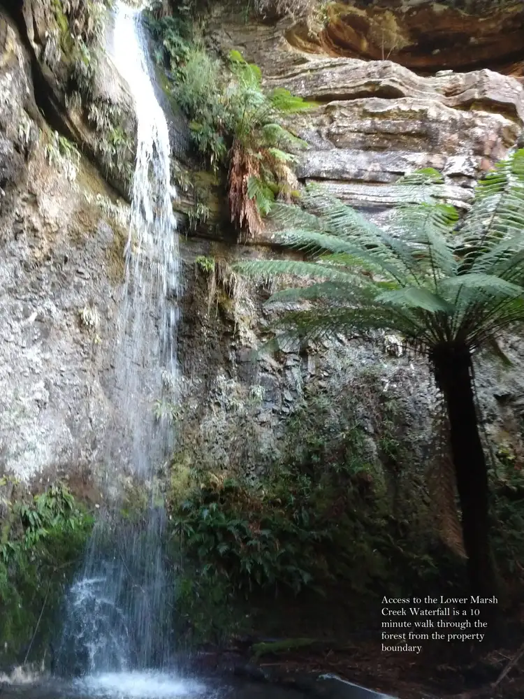 Fourth view of Homely rural property listing, 956 Mount Elephant Road, Gray TAS 7215