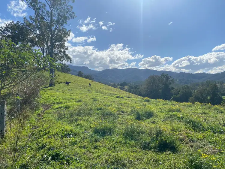 Fifth view of Homely rural property listing, Lot 24/1843 Comboyne Road, Killabakh NSW 2429