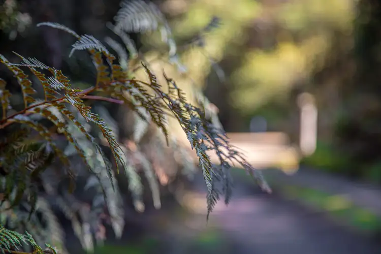 Third view of Homely rural property listing, 300 Browns Road, Ranelagh TAS 7109
