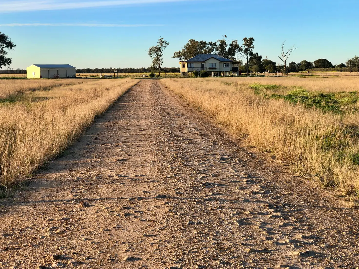 Main view of Homely rural property listing, 176 Polo Rd, Goondiwindi QLD 4390