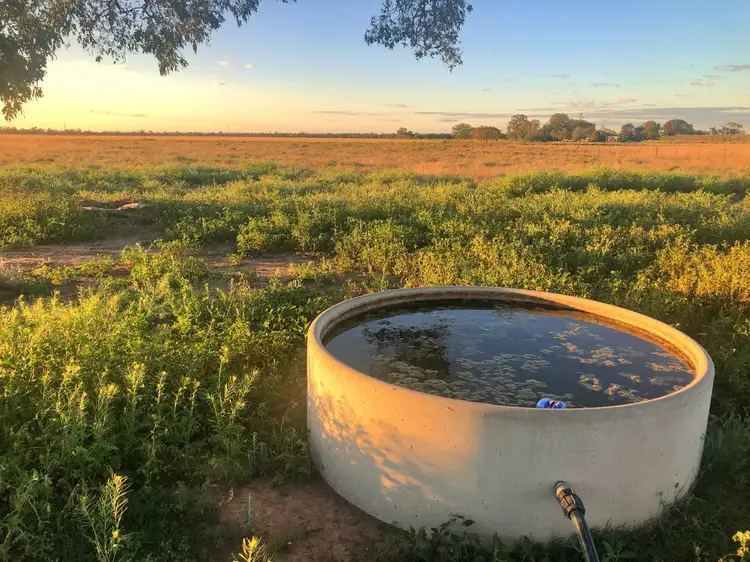 Second view of Homely rural property listing, 176 Polo Rd, Goondiwindi QLD 4390