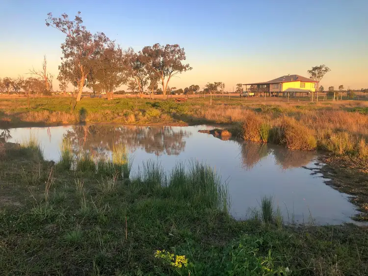 Fourth view of Homely rural property listing, 176 Polo Rd, Goondiwindi QLD 4390