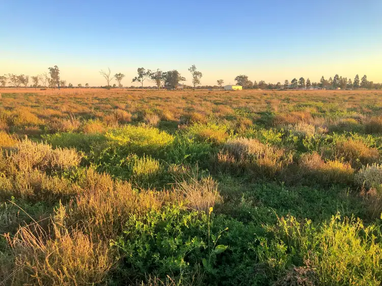 Fifth view of Homely rural property listing, 176 Polo Rd, Goondiwindi QLD 4390